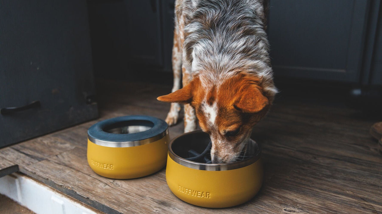 Snug Fit
