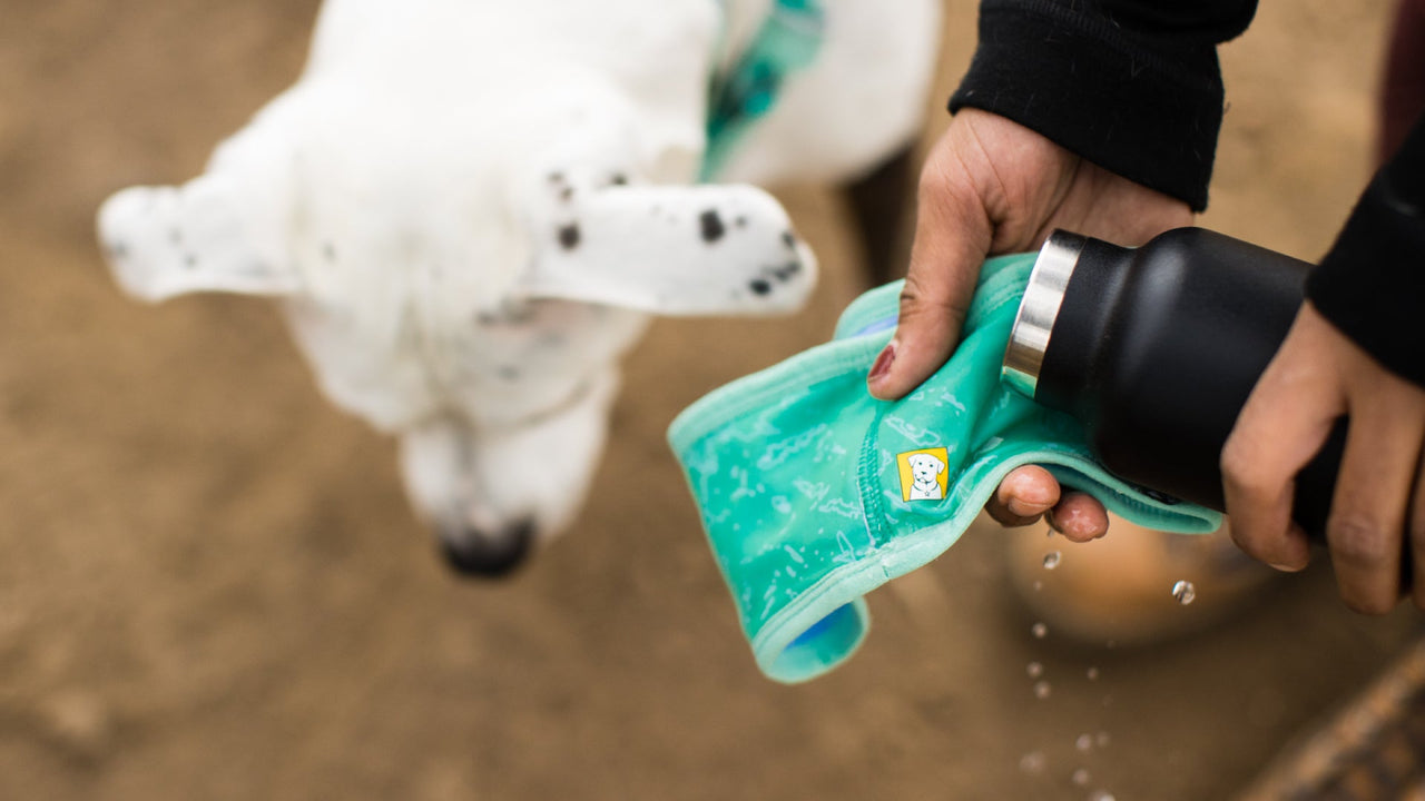 SWAMP COOLER™ TECH