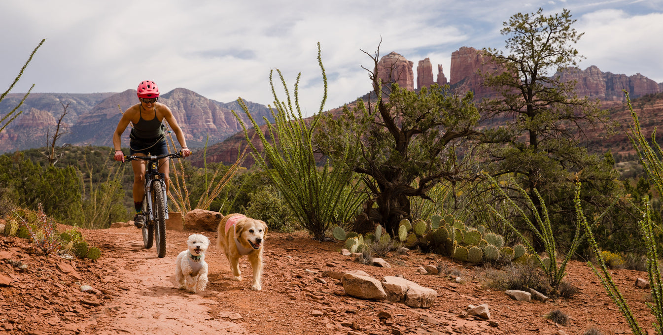 Waypoints: Abby Chan, Kona & Mochi