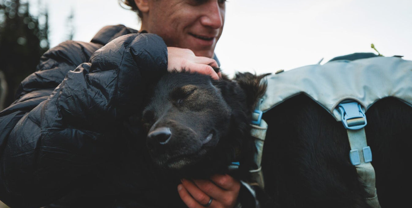 Alex pets Raya's head