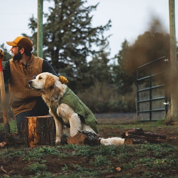 A human and dog sit on a log together in fall.