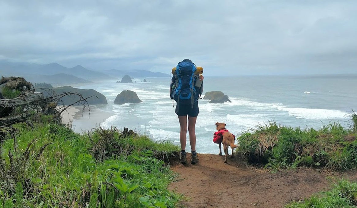 Dog in Palisades dog backpack and human with backpacking pack look out over Oregon coast from trail.