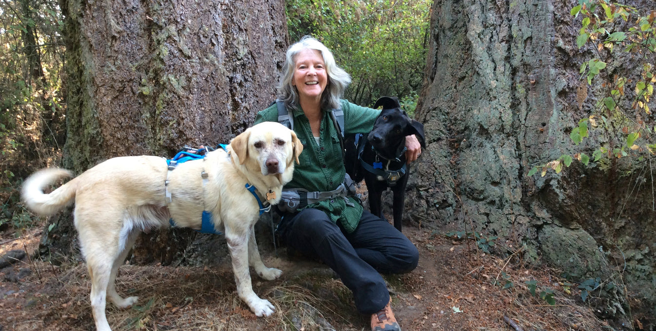 A woman poses with her two dogs while on a hike.