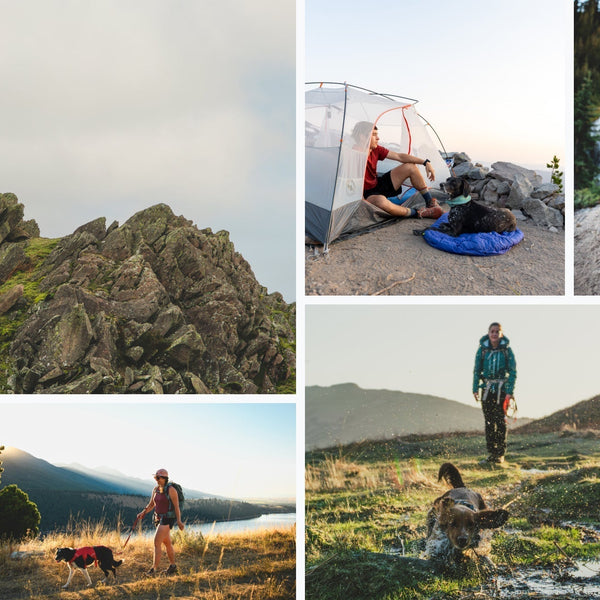 Ruffwear x Hipcamp hiking with dog campsites.