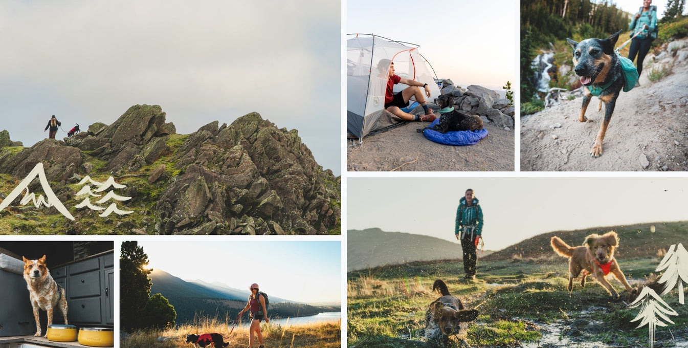 Ruffwear x Hipcamp hiking with dog campsites.