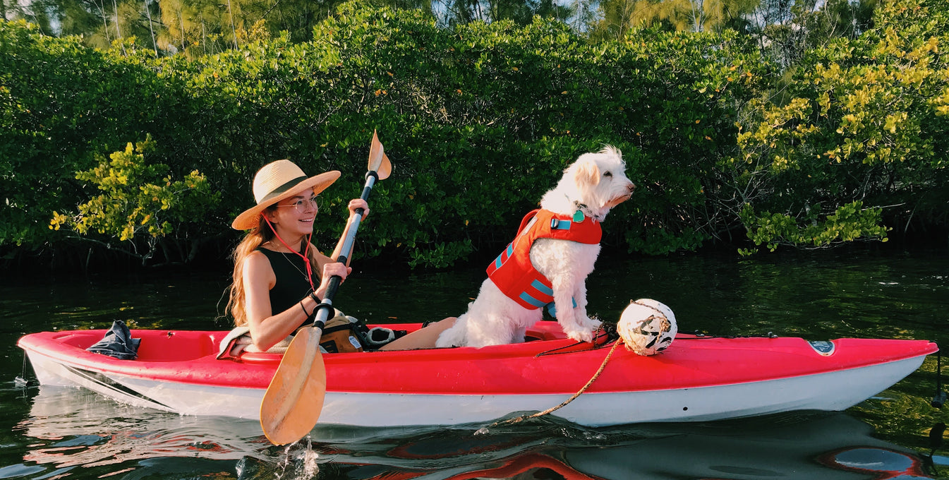 2022: The Year For Possibility & Spaghetti