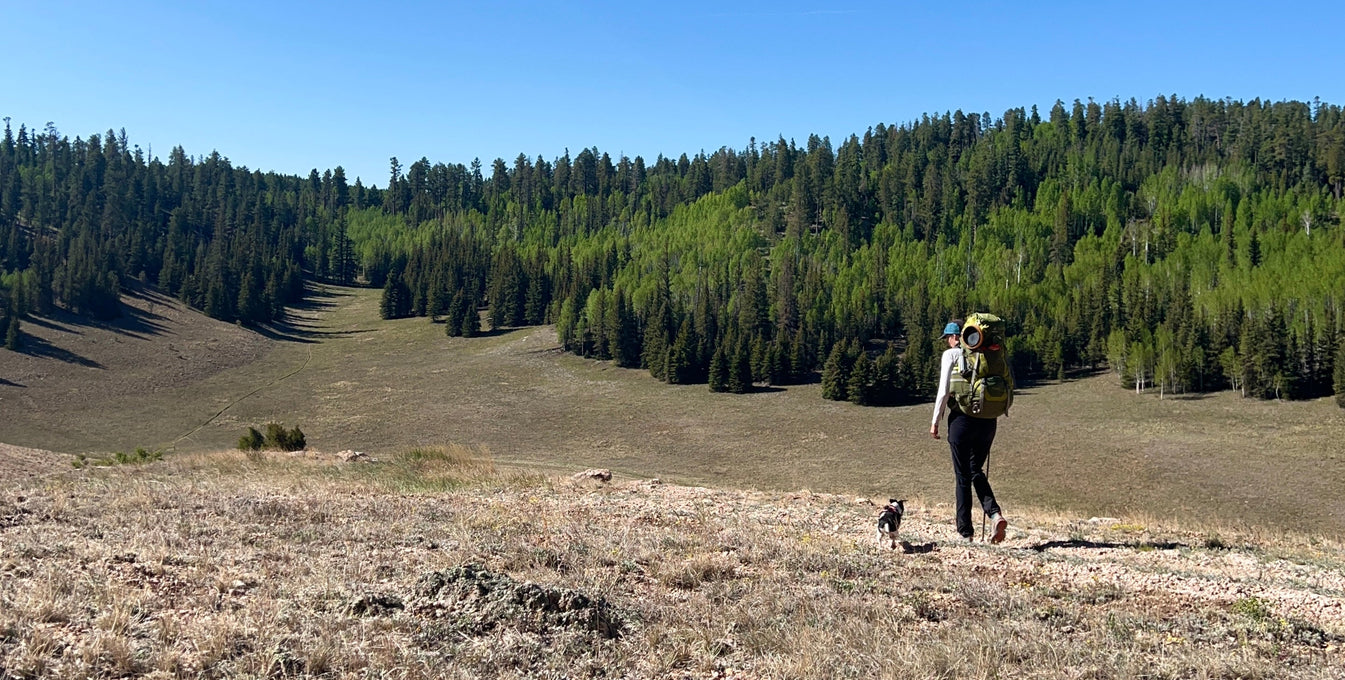 A woman and her dog hike along the Arizona Trail. 