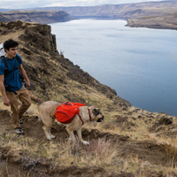 Man with his dog wearing the Palisades™ Pack.