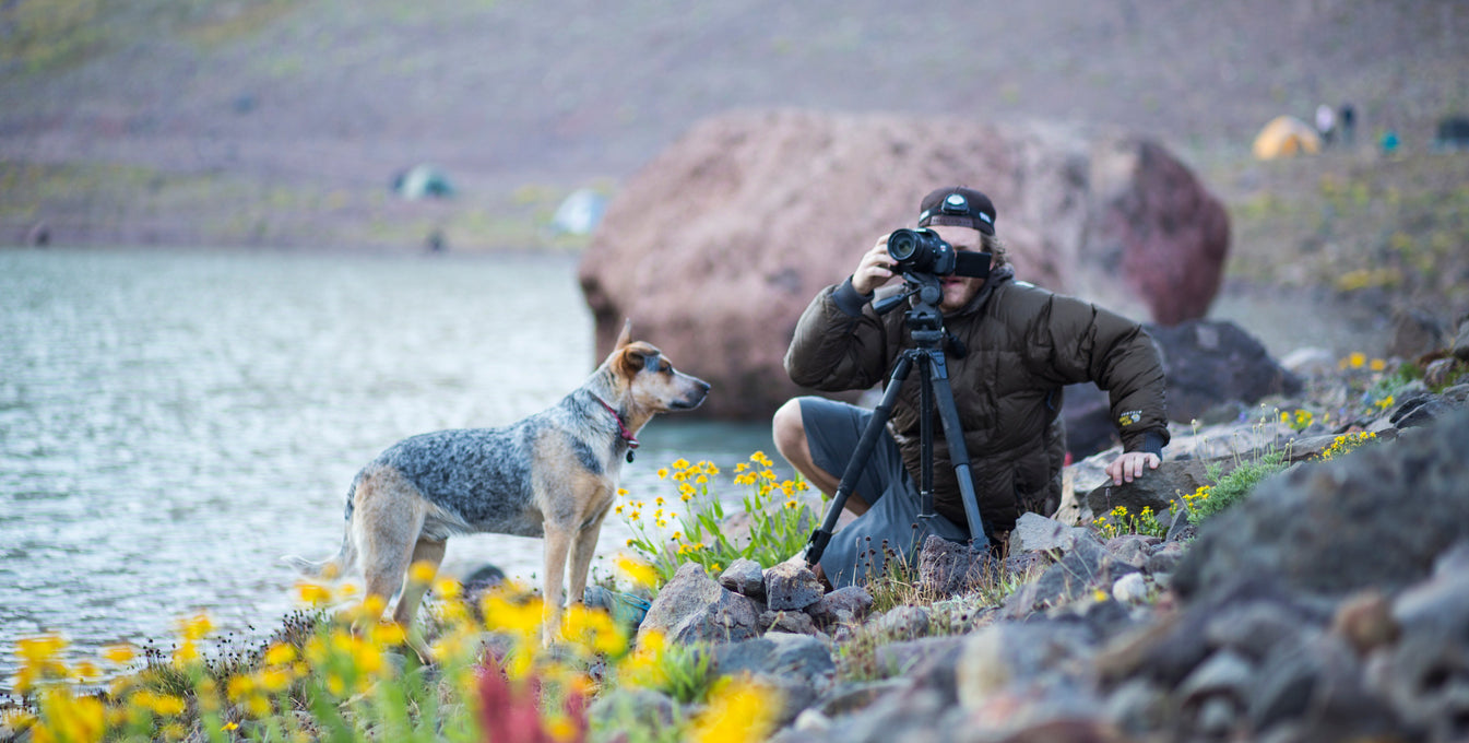 Man taking a picture of a dog among wildflowers by a lake