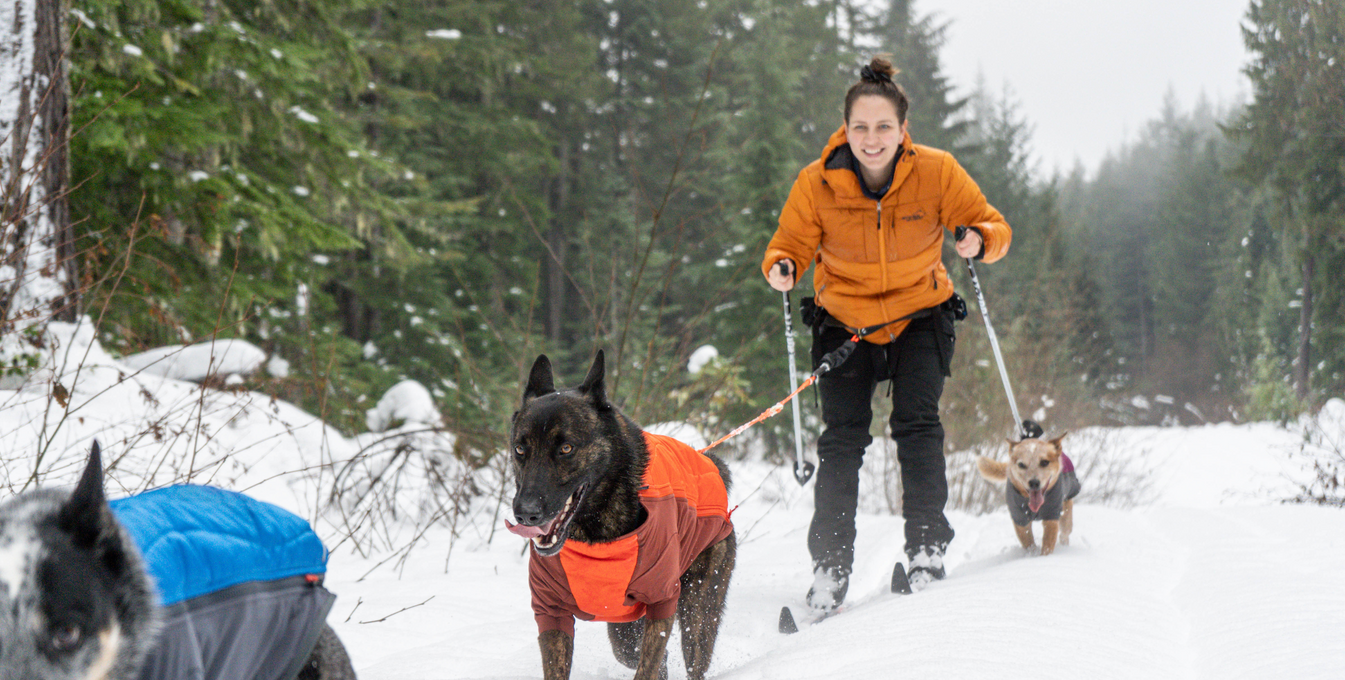 Woman cross country skis with dogs