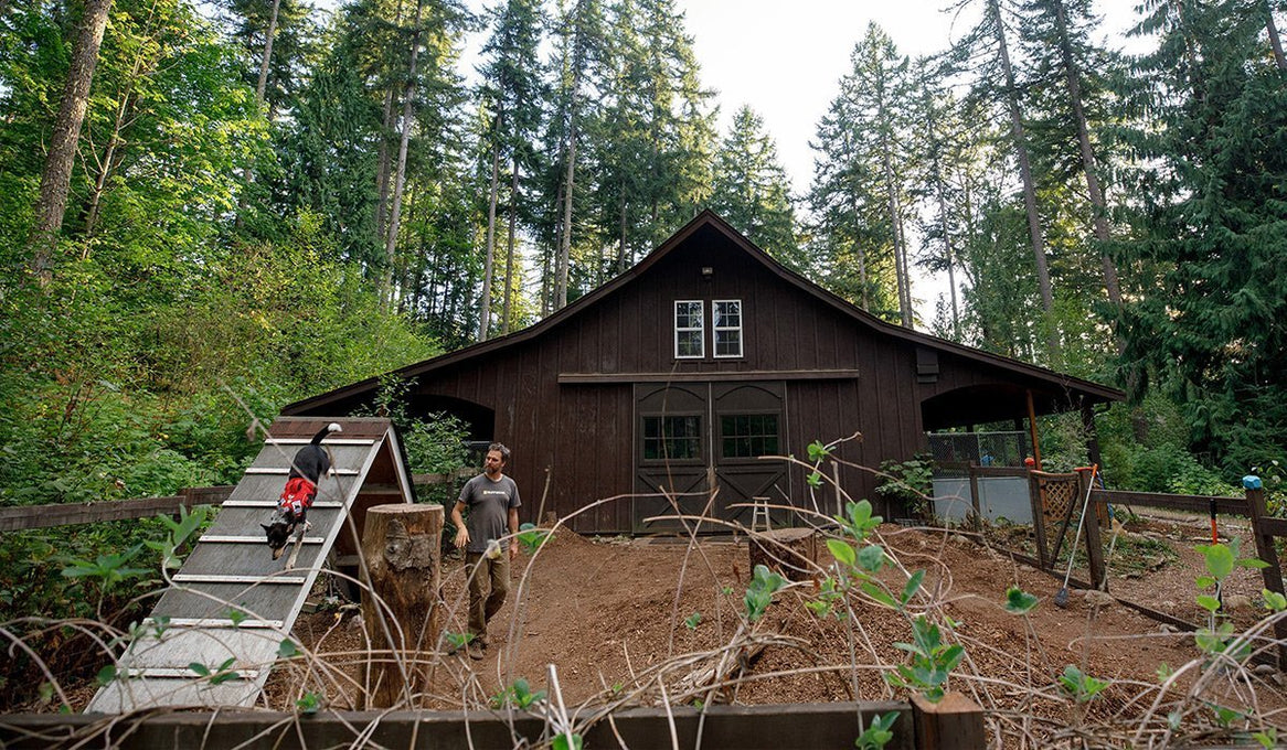 Dog works a training course at a house in the woods.