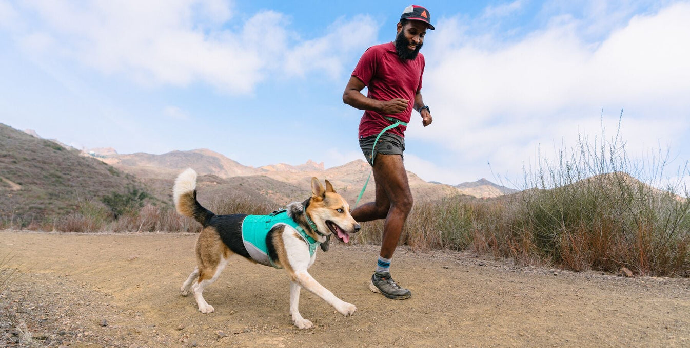 Man and dog running together