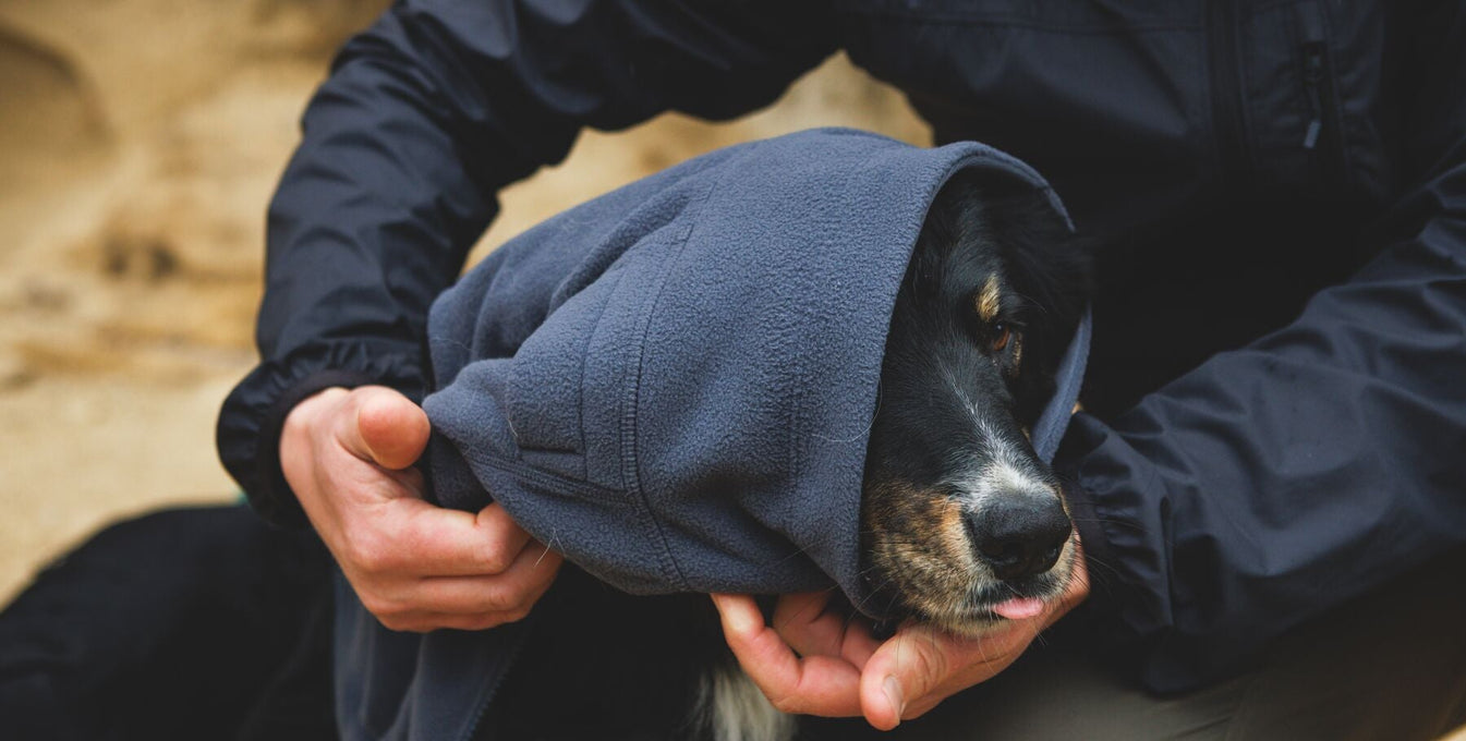 Layering Systems: How to Layer Dog Apparel
