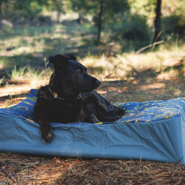Behind the Design of the Mt EverRest™ Dog Bed & Cot Cover