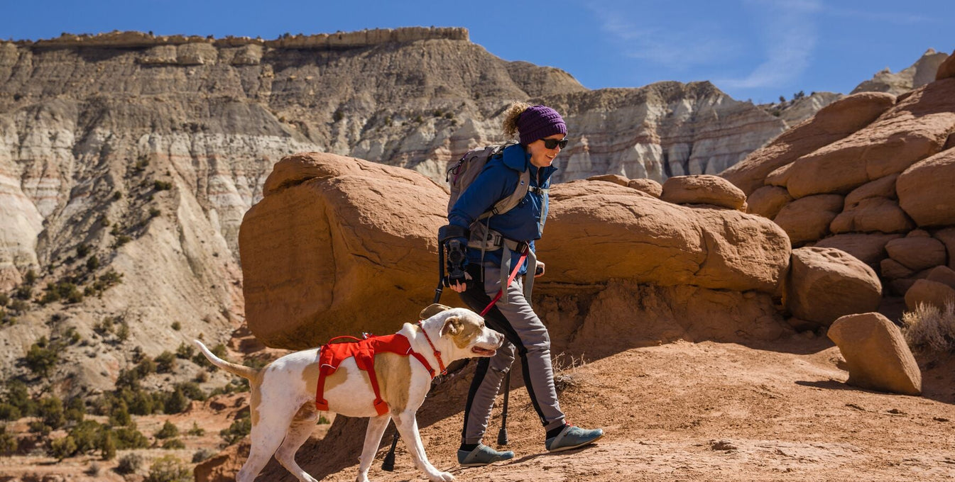 Woman hiking with her dog.
