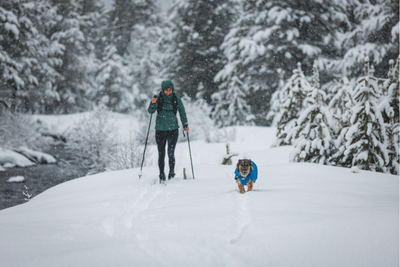 Woman cross-country skiing with her dog.