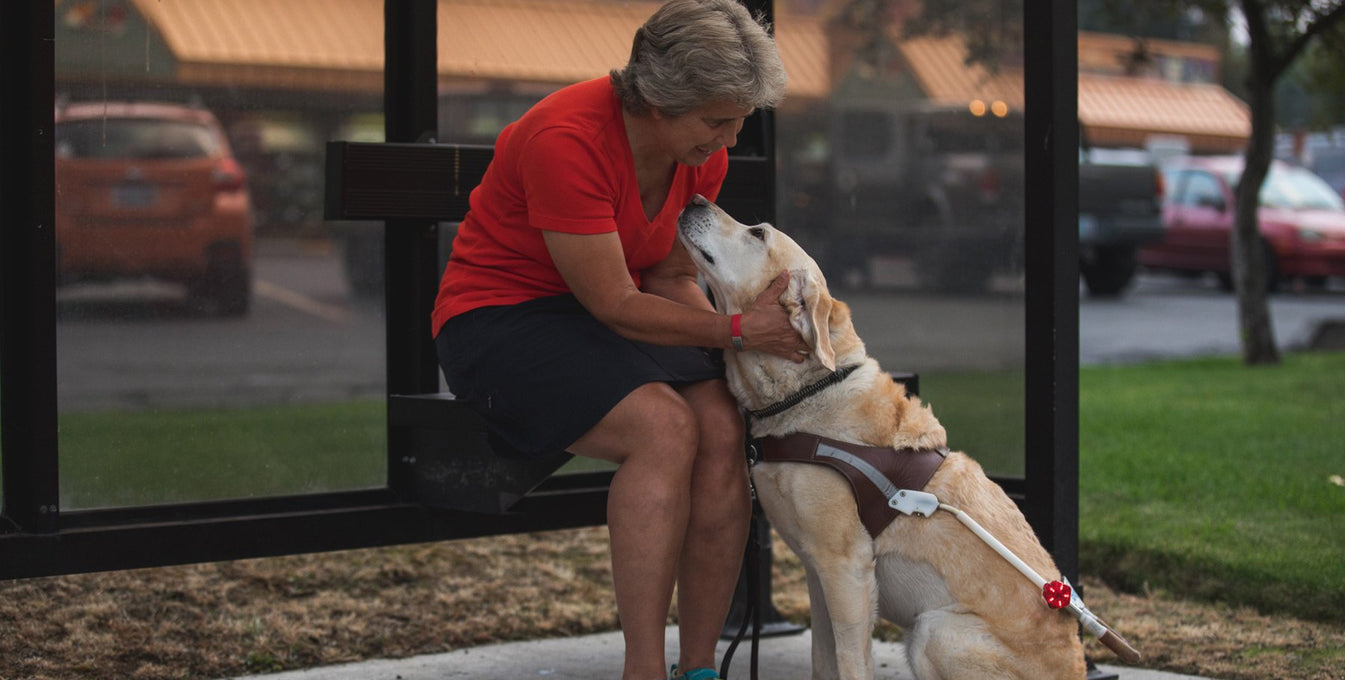Nancy's guide dog Abbie leans in to give her a kiss while they sit at the bus stop.