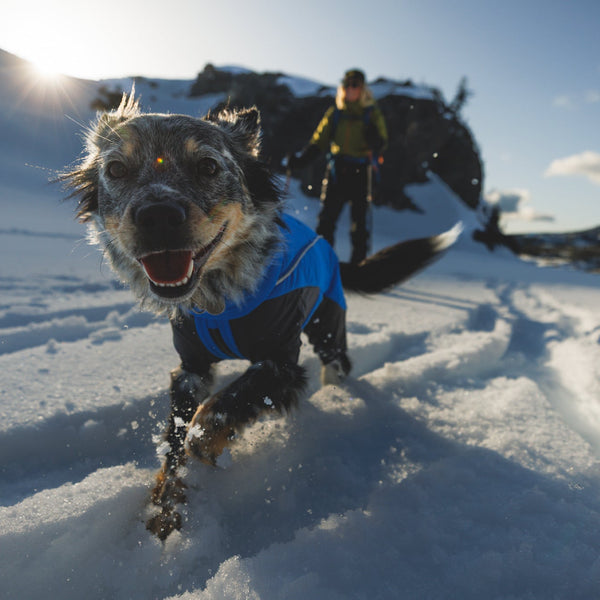 A woman balances on the rocks with her dog