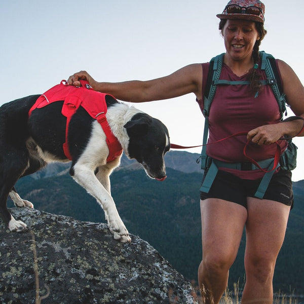 Outdoor Performance Dog Gear | Ruffwear