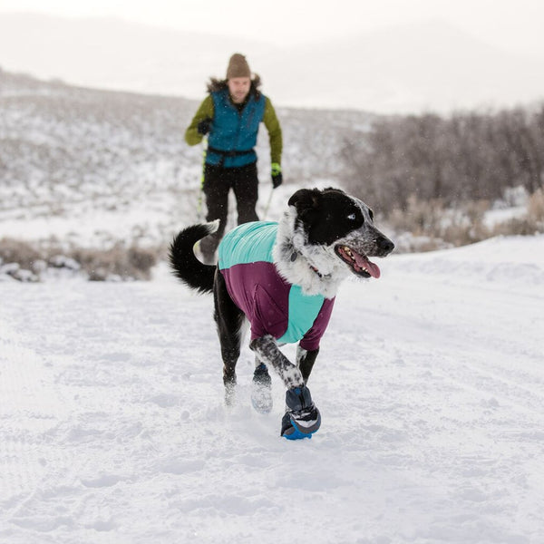 A woman runs with her dog in the rain