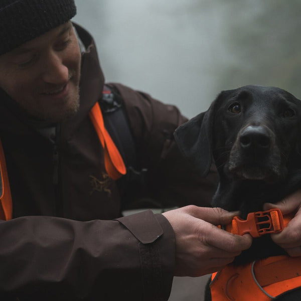 A man runs with his dog who's wearing a Ruffwear collar