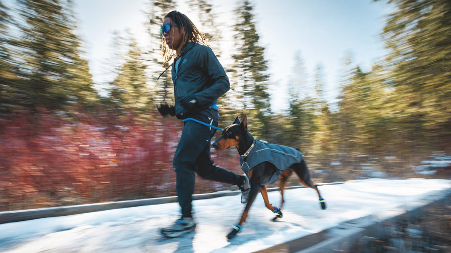 Hiking discount dog collar