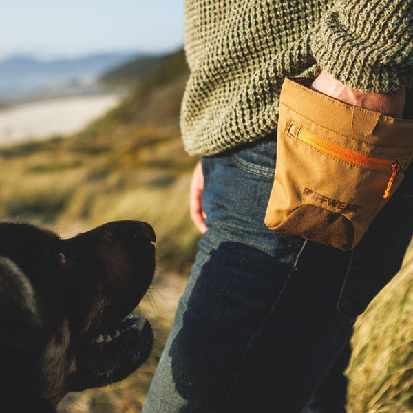 A man peeps at a dog in a Hitch Hiker™ pack