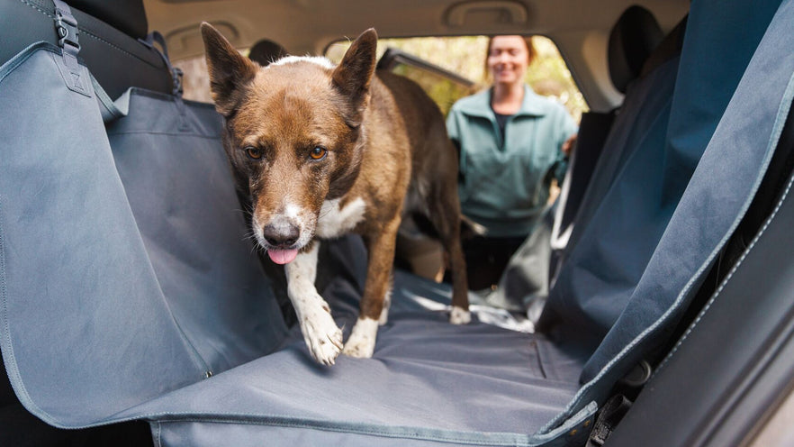 Travel Gear Ruffwear