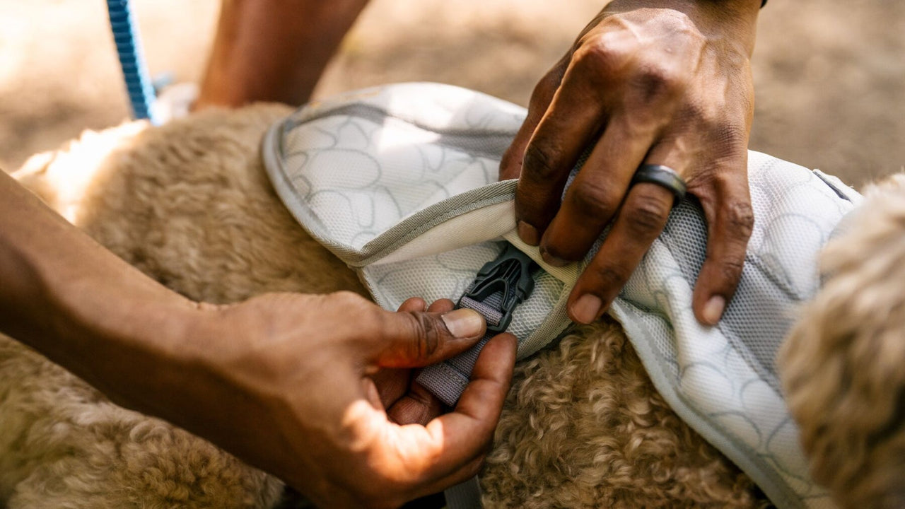 TECHNOLOGIE SWAMP COOLER™