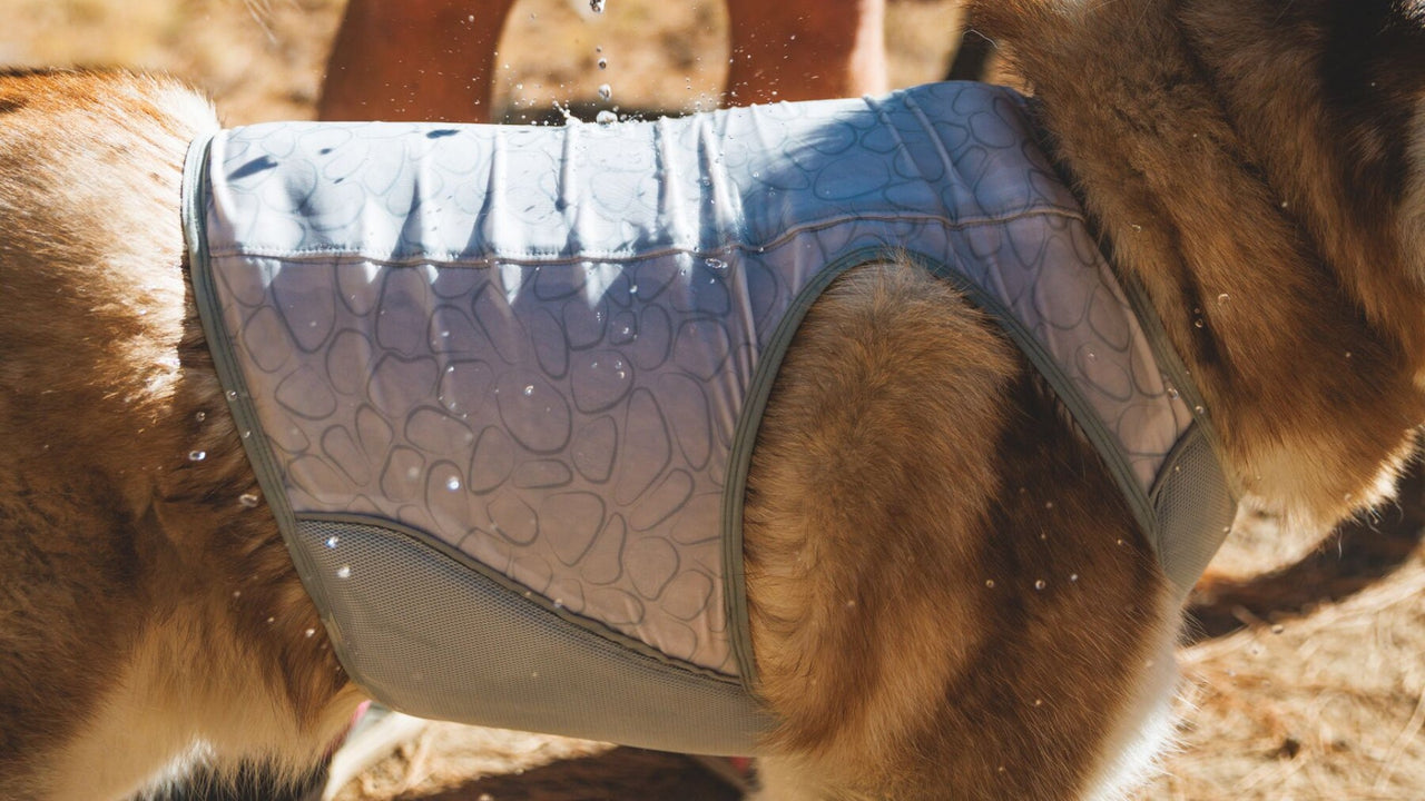 CONSTRUCTION À TROIS COUCHES