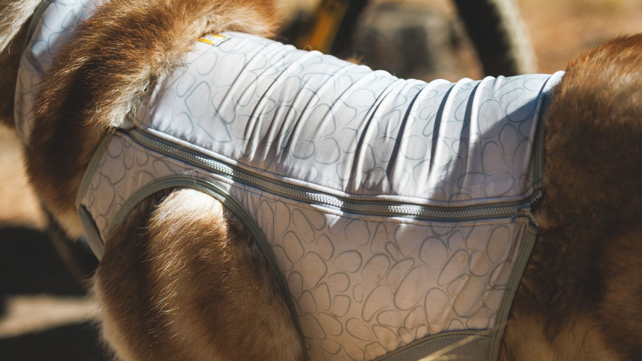 COUPE AJUSTÉE AVEC FERMETURE À GLISSIÈRE