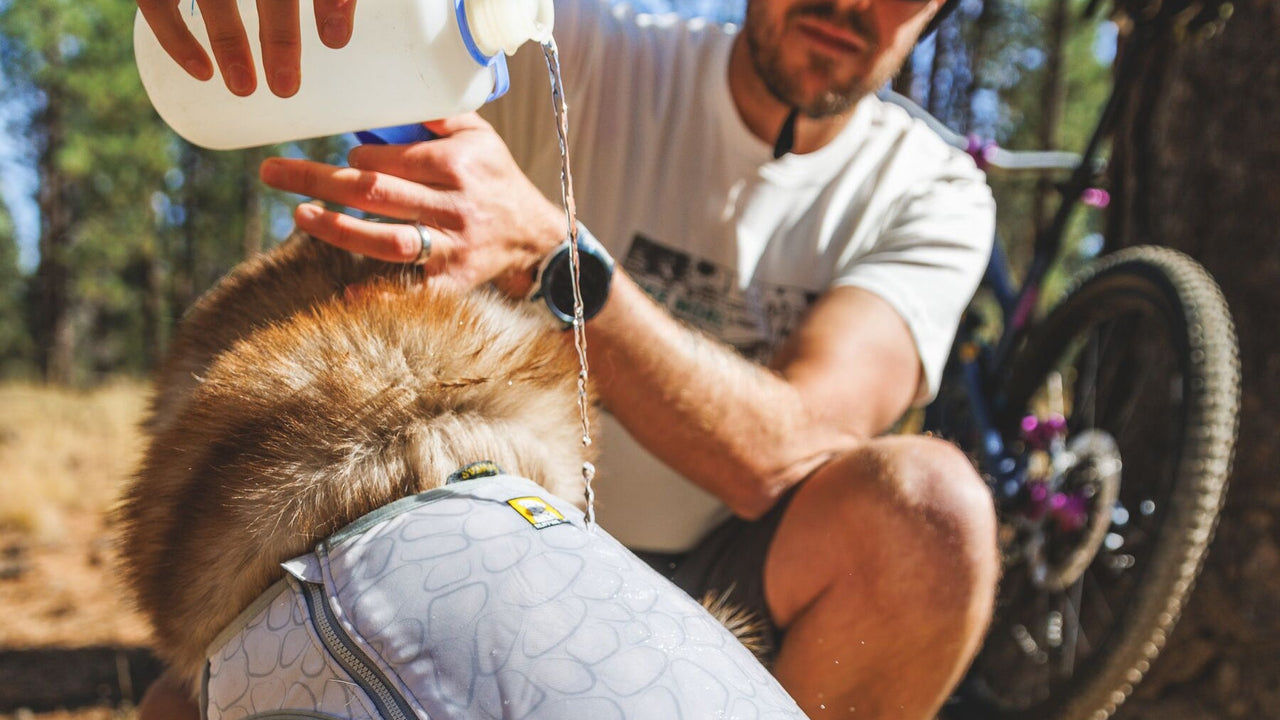 ÉLASTHANNE LÉGÈRE