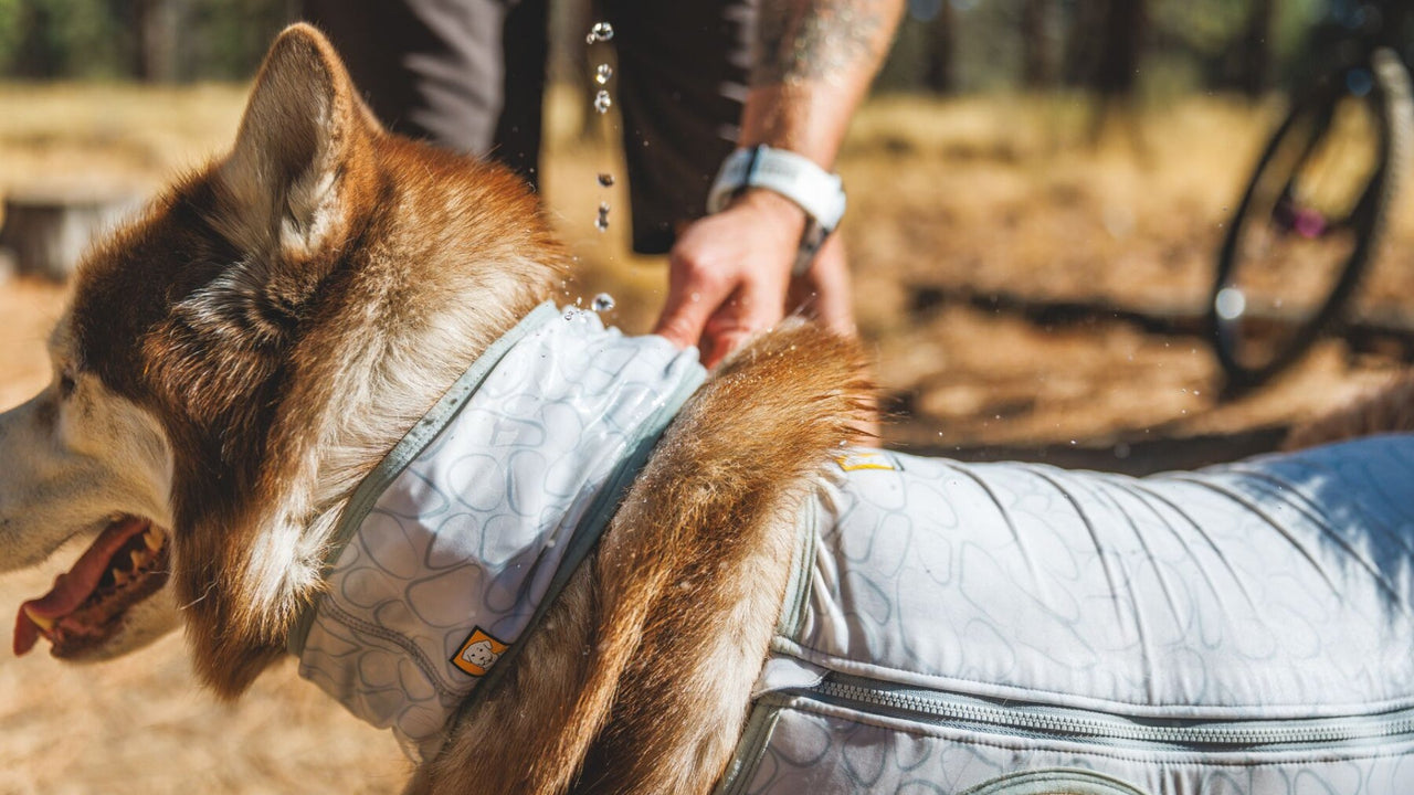 TECHNOLOGIE SWAMP COOLER™