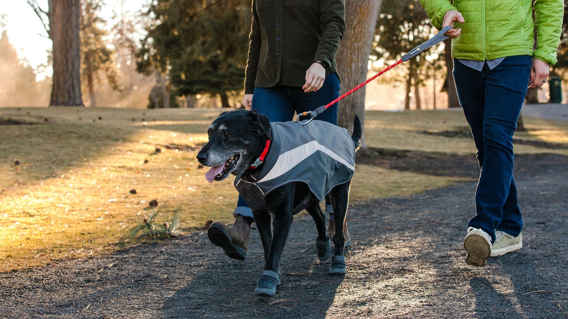 Lumenglow Hi Vis Dog Jacket Reflective Vest Ruffwear