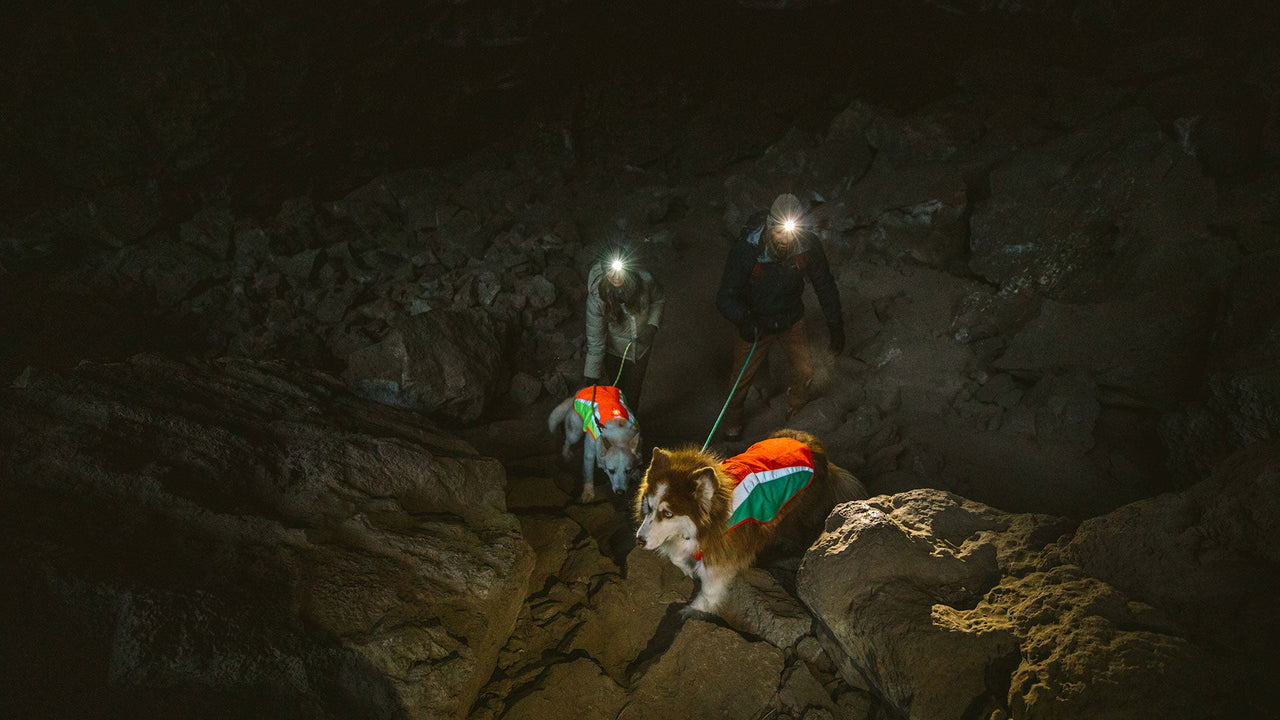 AUGMENTE LA VISIBILITÉ