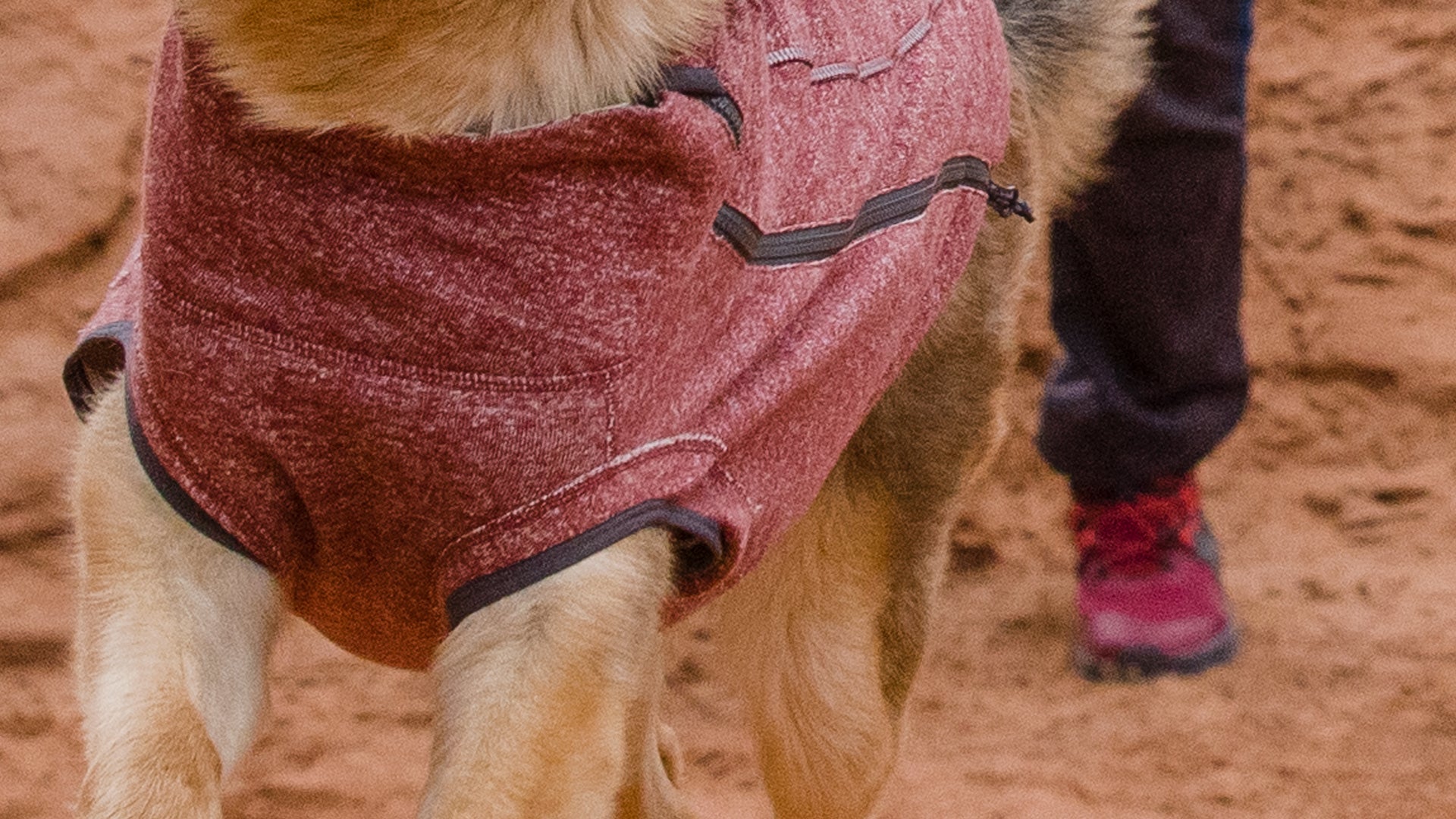 Hemp Hound Dog Sweater Ruffwear