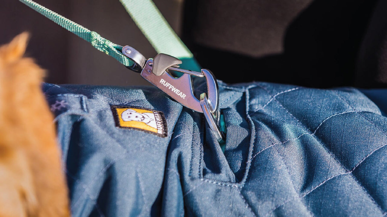 PASSAGE POUR LA LAISSE