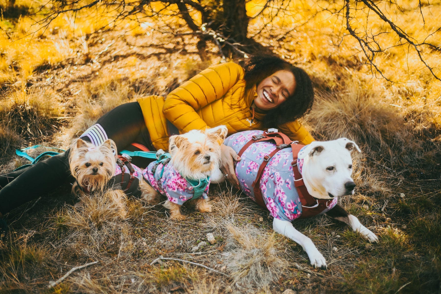 Our Ambassadors Sharing our adventures beliefs Ruffwear