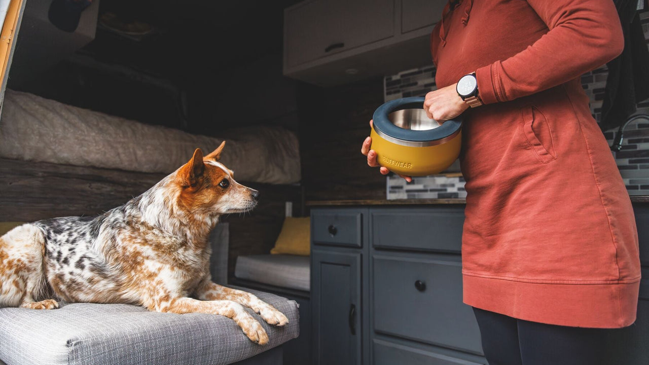 Removable for Easy Cleaning