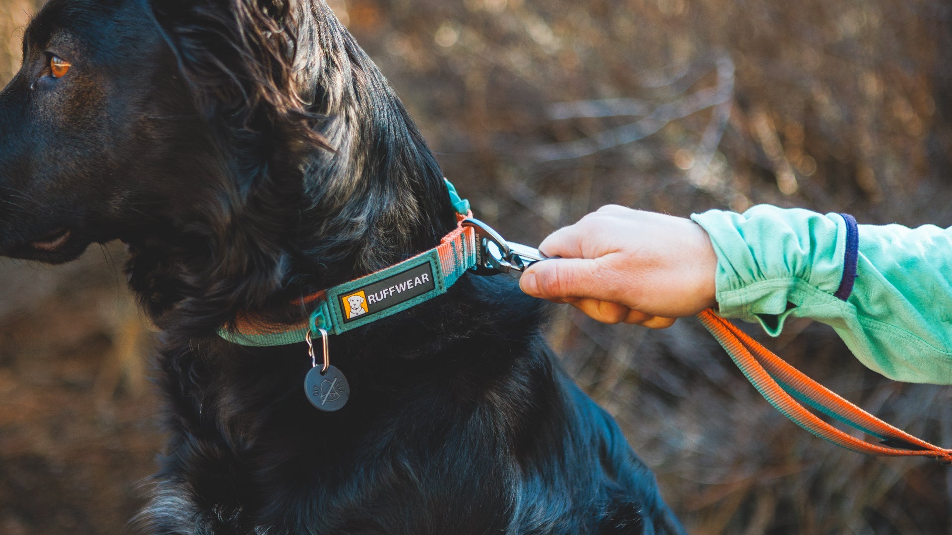 Front Range Dog Collar Ruffwear