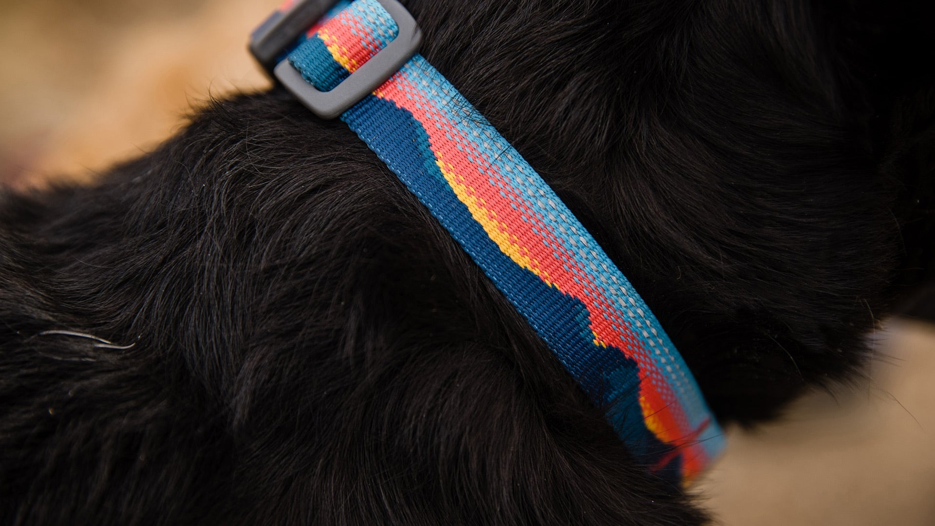 Ruffwear top sale rope