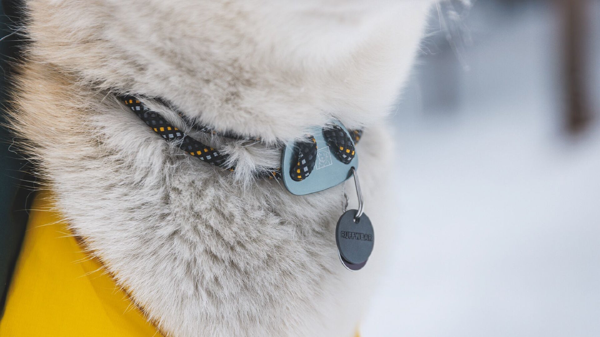 Knot a Collar Climbing Rope Dog Collar Ruffwear