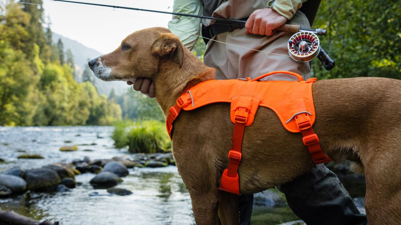 HARNAIS À TROIS SANGLES