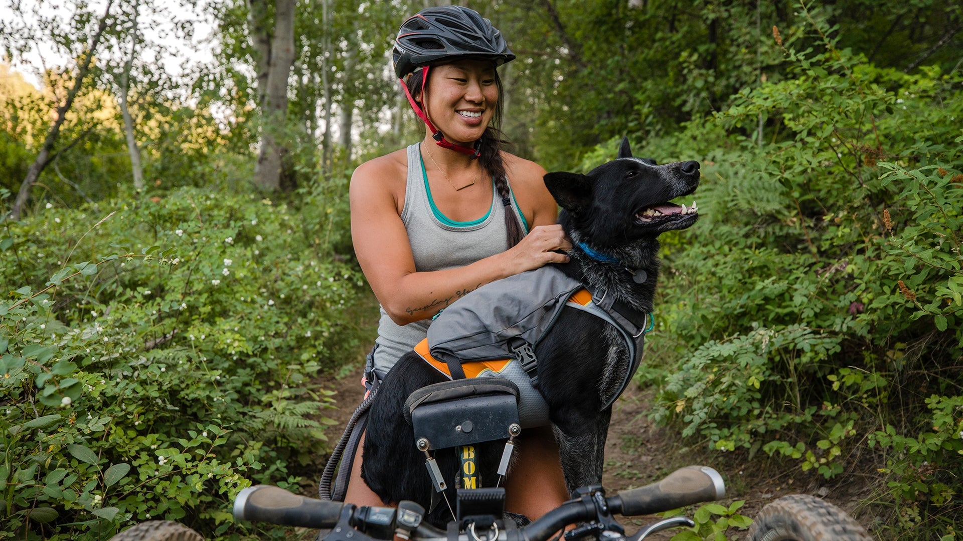 Switchbak Multi Function Dog Harness Ruffwear