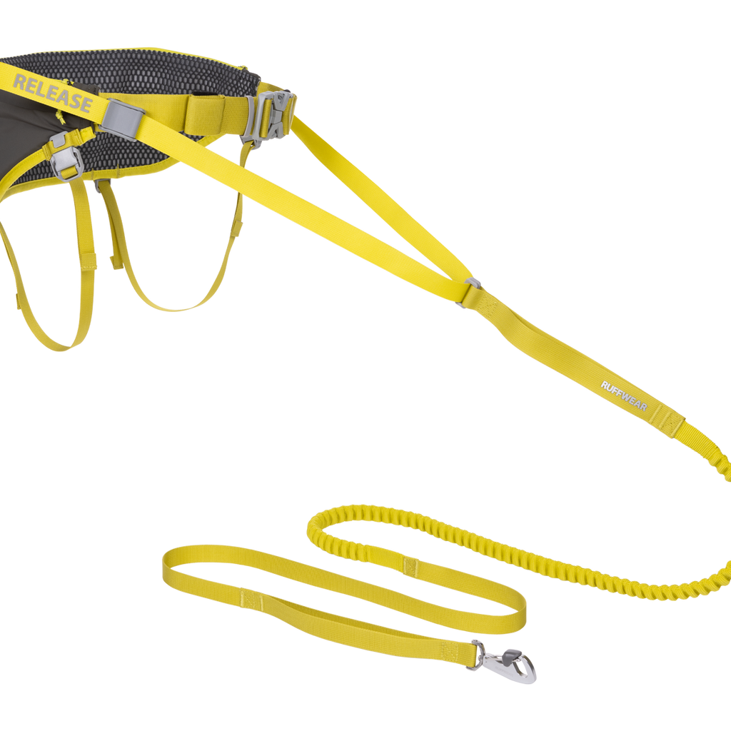 Omnijore™ Dog Joring System System for Dog Joring, Canicross Ruffwear