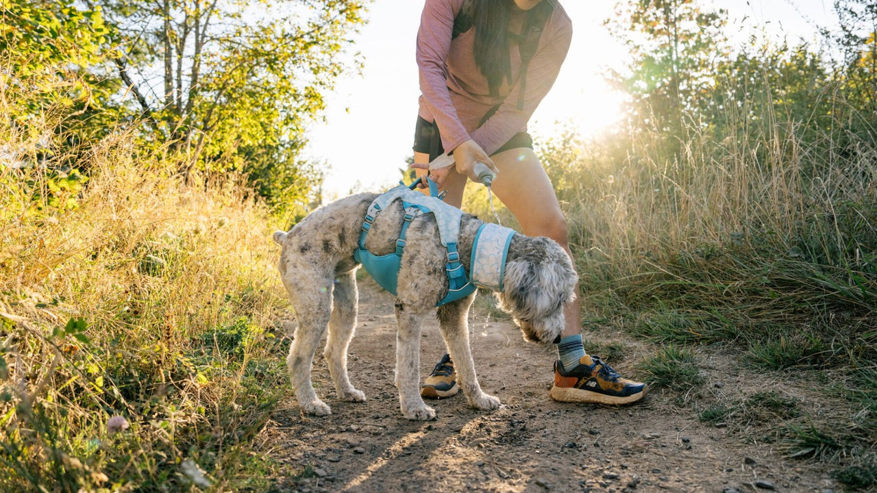 POIGNÉE REMBOURRÉE