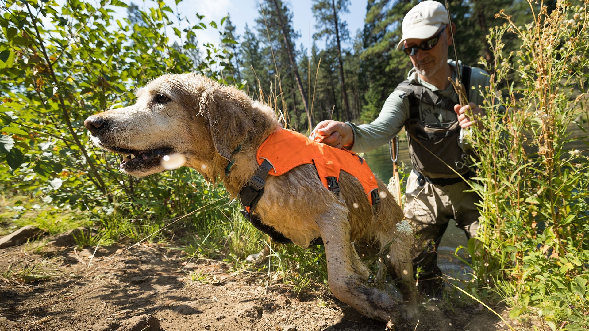 Dog sales brush guard