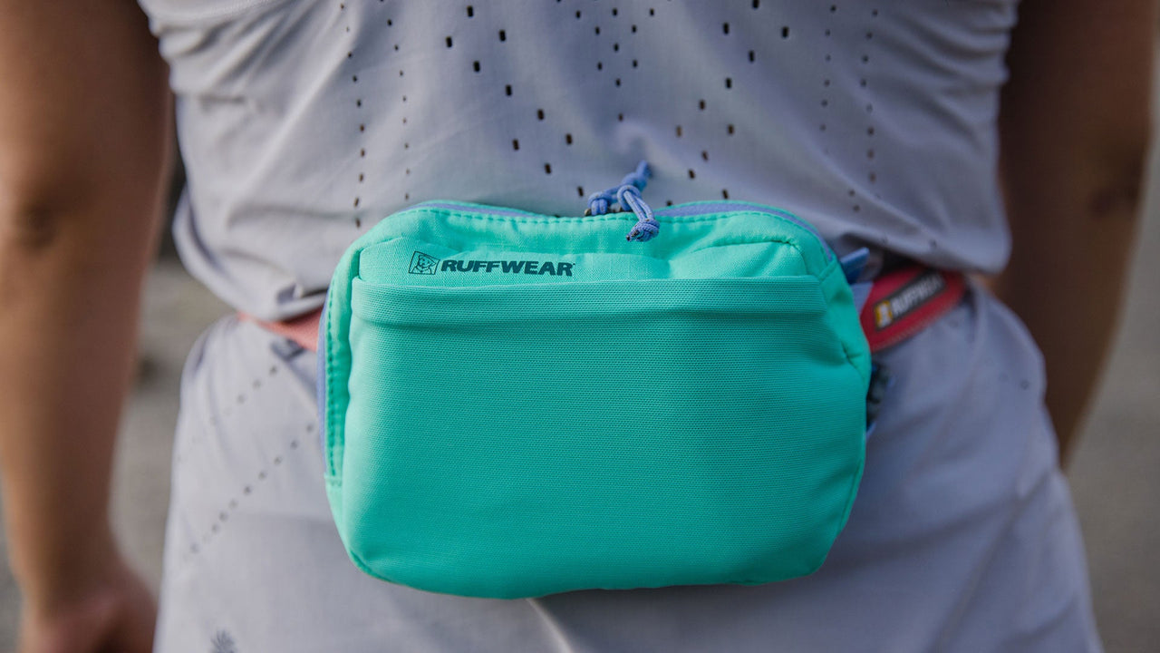 COMPATIBLE AVEC UNE LAISSE MAINS LIBRES