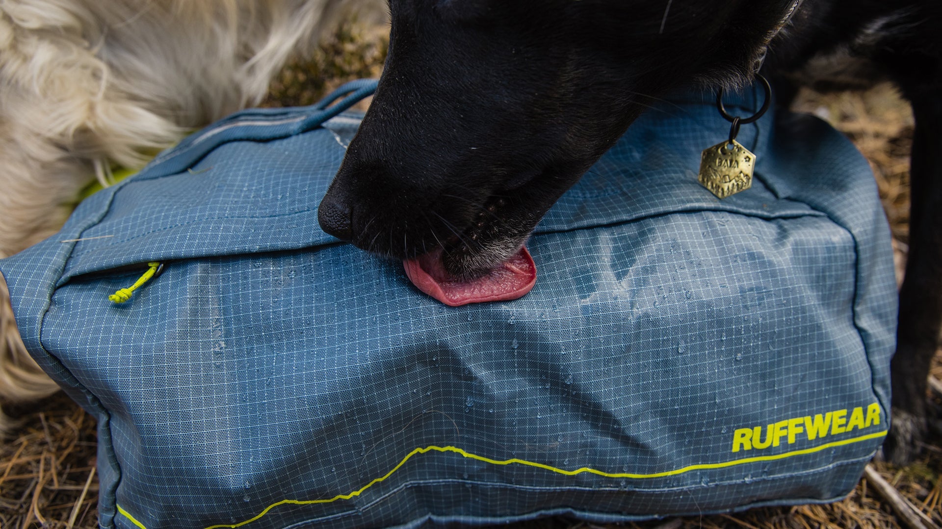 Haul Bag Dog Gear Travel Bag Ruffwear