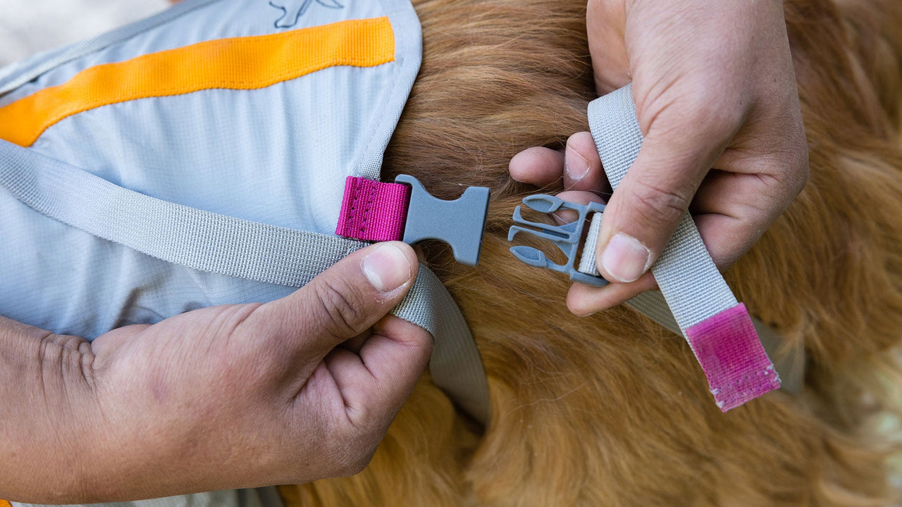 Farbcodierte Bänder